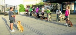 David y su perra escuela, Duna, en una de las clases de adiestramiento que imparte en la Residencia Canina de Roquetas de Mar.